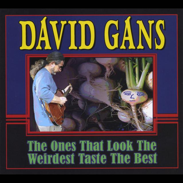 David Gans