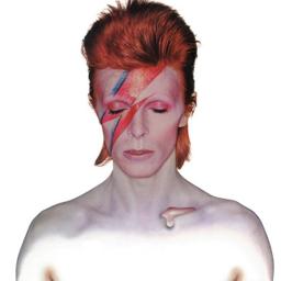 Bowie Lives - David Bowie Tribute